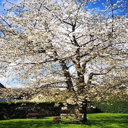 Garden Retreat Casa de Férias