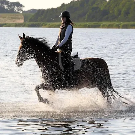 Garden Retreat * Gustow (Vorpommern-Rugen)